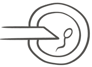 Kind iVF patient pathway embryology